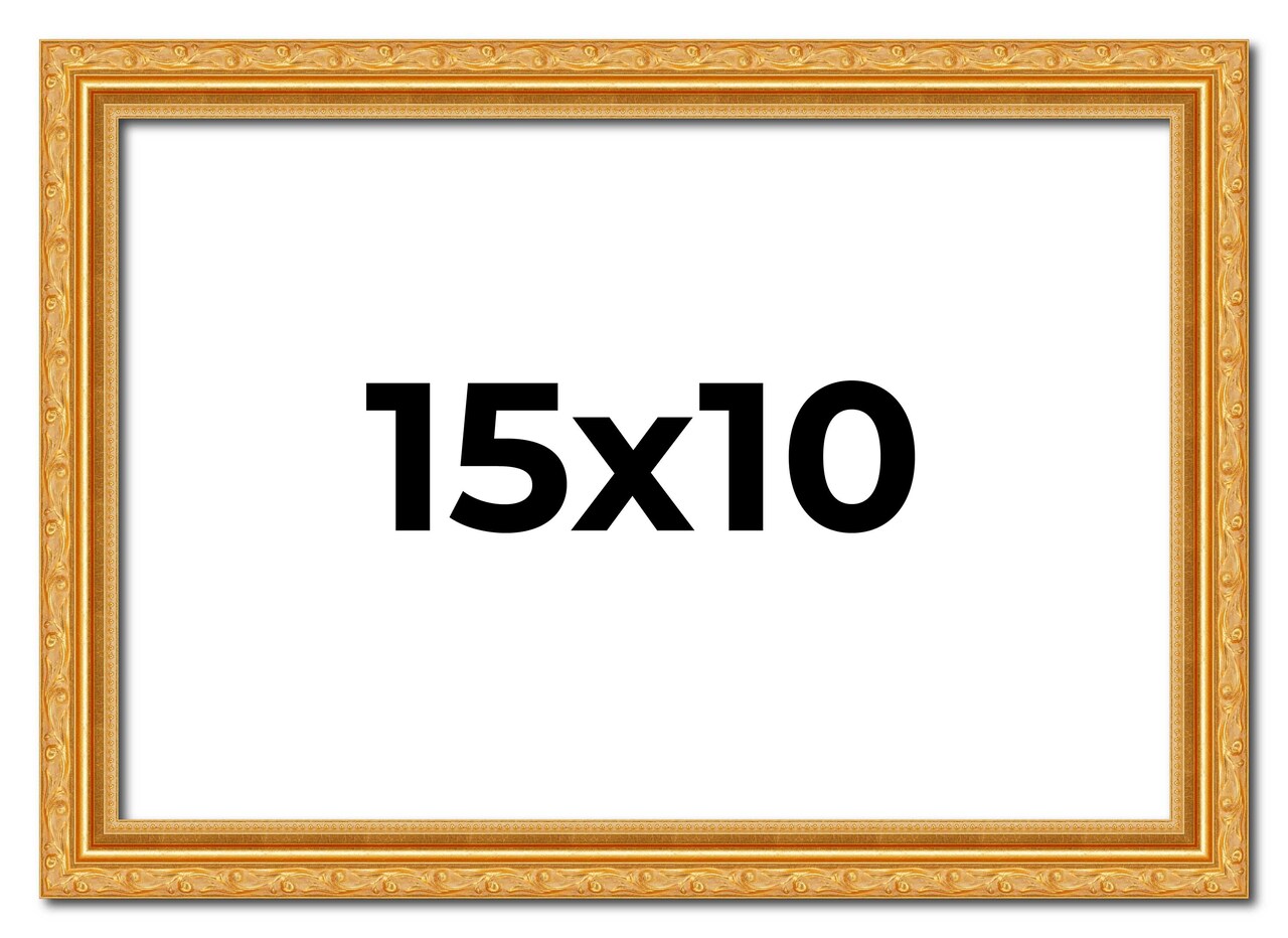 15x10 Solid Wood Antique Picture Frame with UV-Resistant Acrylic & Acid-Free Backing, Available in 4 Finishes: Bronze, Gold, Silver, and Gold with Black